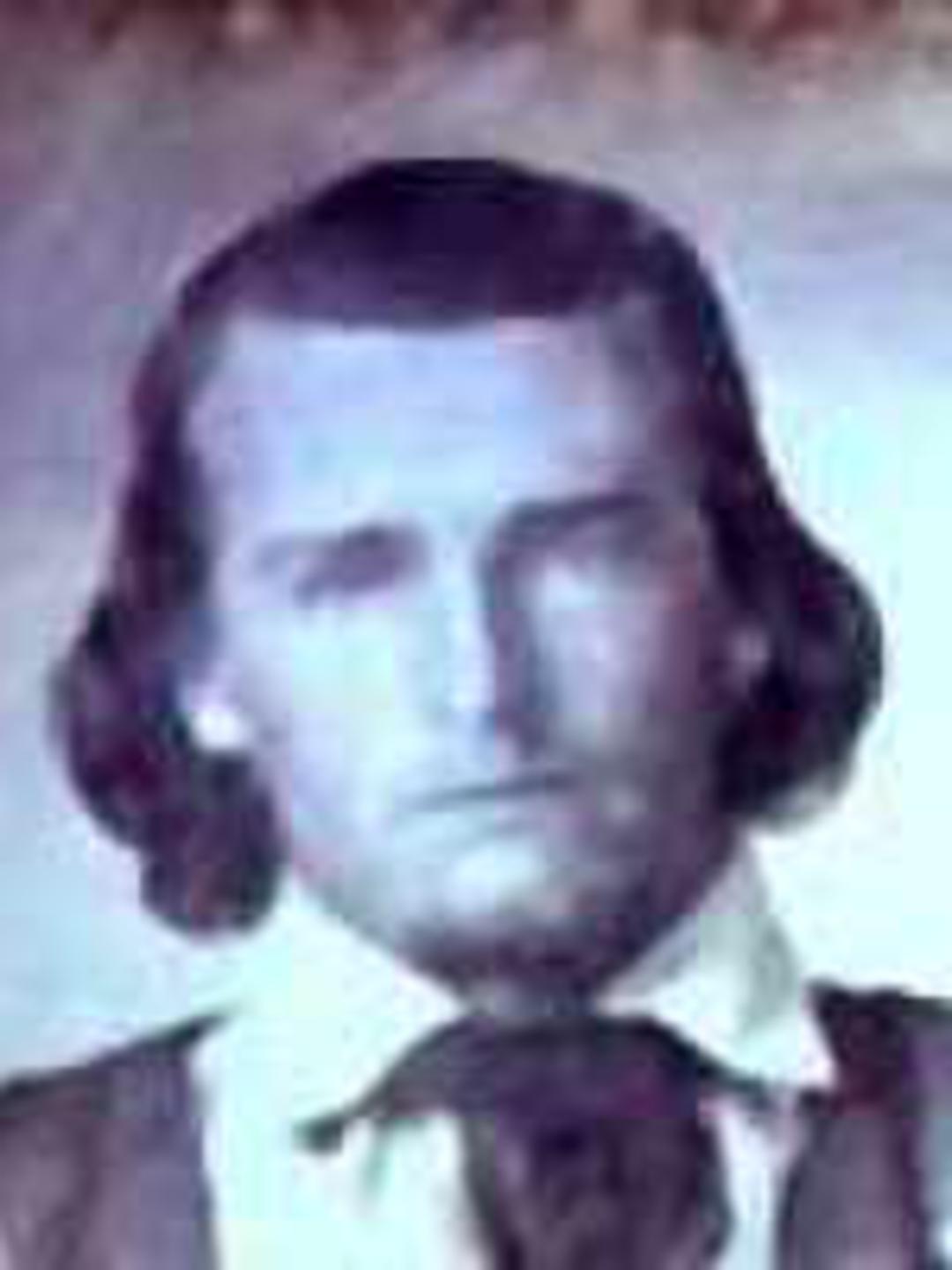 William Gilbert Gibson (1834 - 1908) Profile